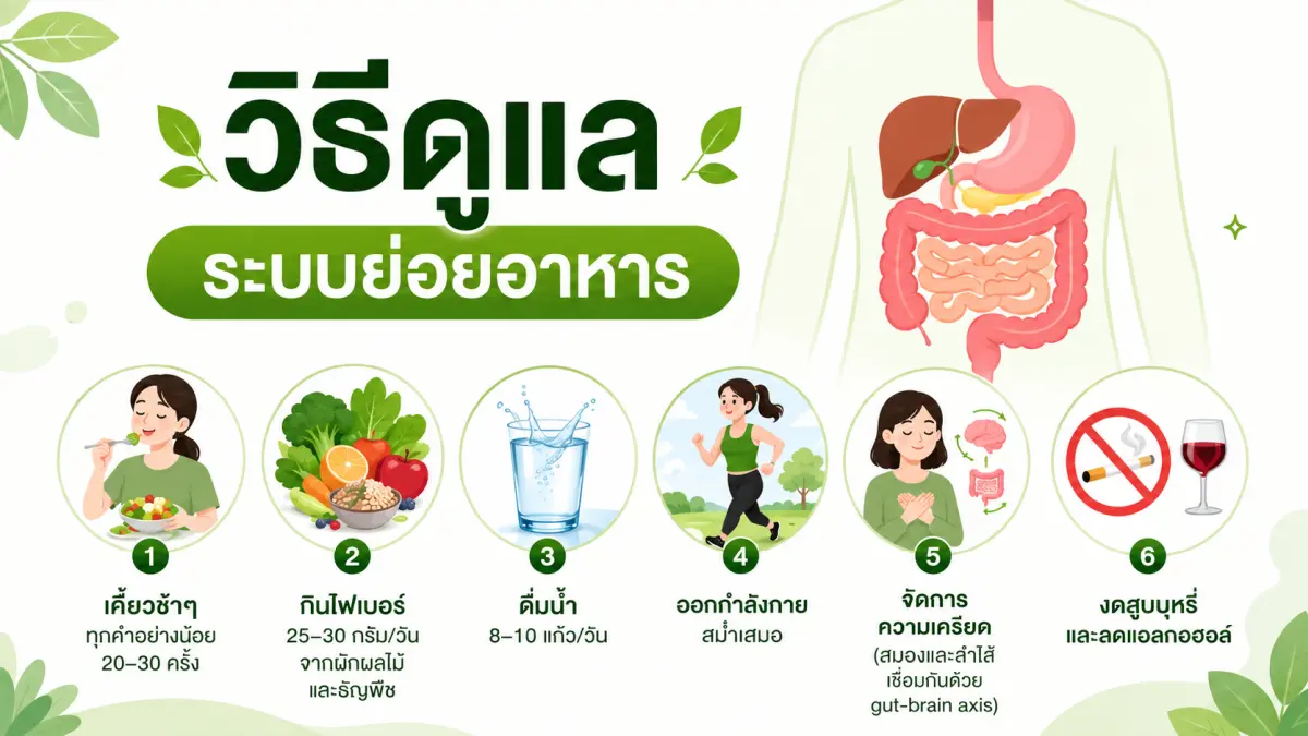 วิธีดูแลระบบย่อยอาหารให้แข็งแรงด้วยพฤติกรรมสุขภาพที่ดี