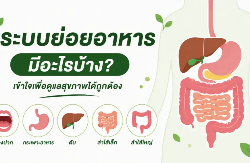 ระบบย่อยอาหารมีอะไรบ้าง