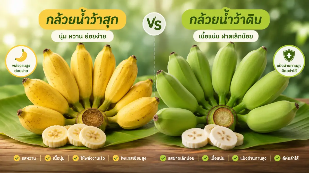 กล้วยน้ำว้าสุกและกล้วยดิบ แสดงให้เห็นความแตกต่าง