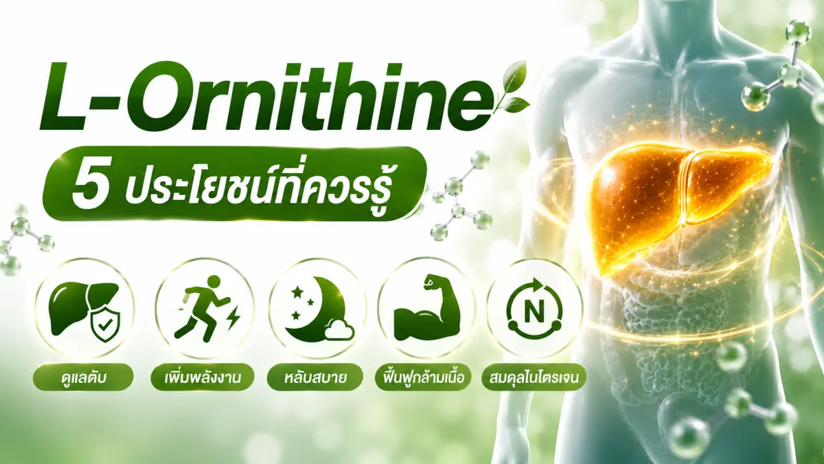 L-Ornithine คืออะไร ประโยชน์ต่อตับและการกำจัดแอมโมเนีย