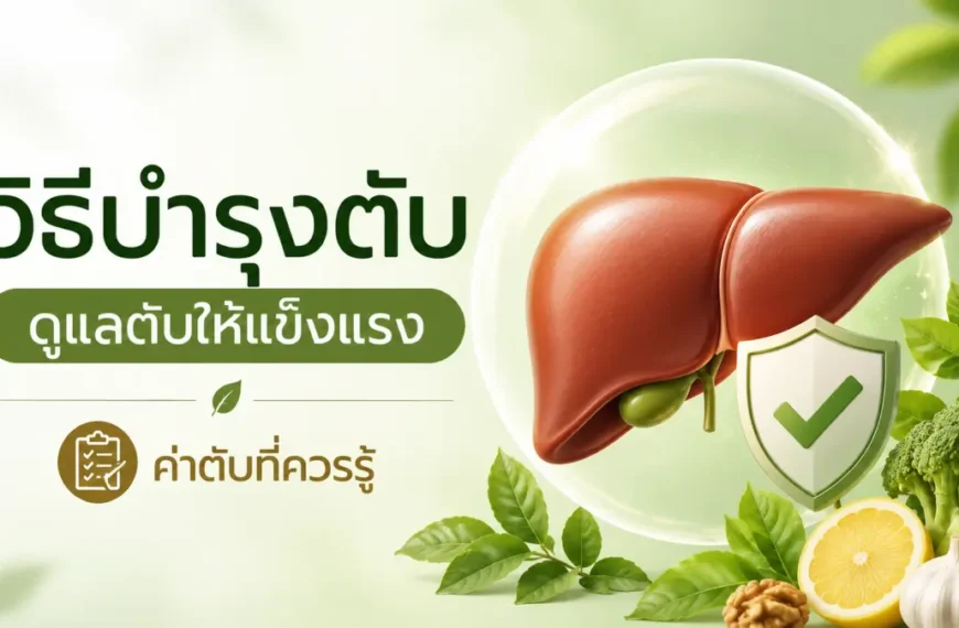 วิธีบำรุงตับ ดูแลตับให้แข็งแรง และค่าตับที่ควรรู้