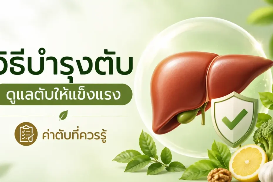 วิธีบำรุงตับ ดูแลตับให้แข็งแรง และค่าตับที่ควรรู้