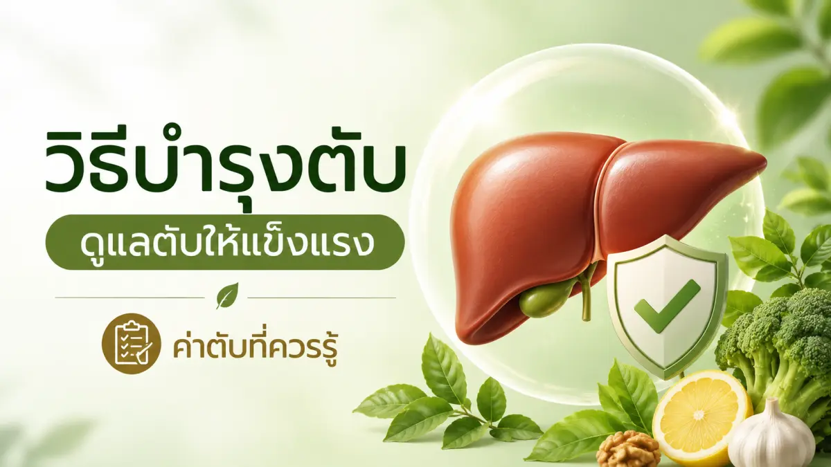 วิธีบำรุงตับ ดูแลตับให้แข็งแรง และค่าตับที่ควรรู้