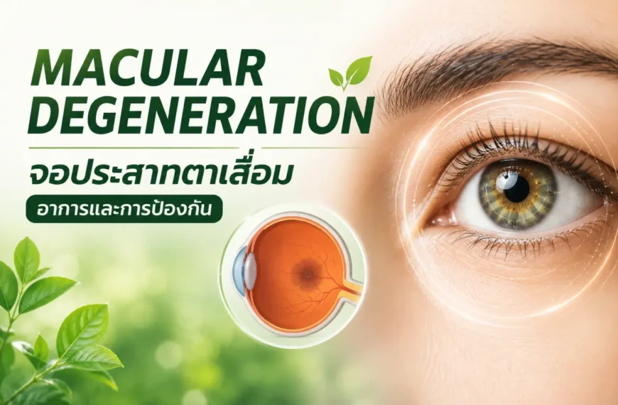Macular Degeneration หรือจอประสาทตาเสื่อม พร้อมข้อมูลอาการ สัญญาณเตือน และแนวทางการป้องกันเพื่อดูแลสุขภาพดวงตา