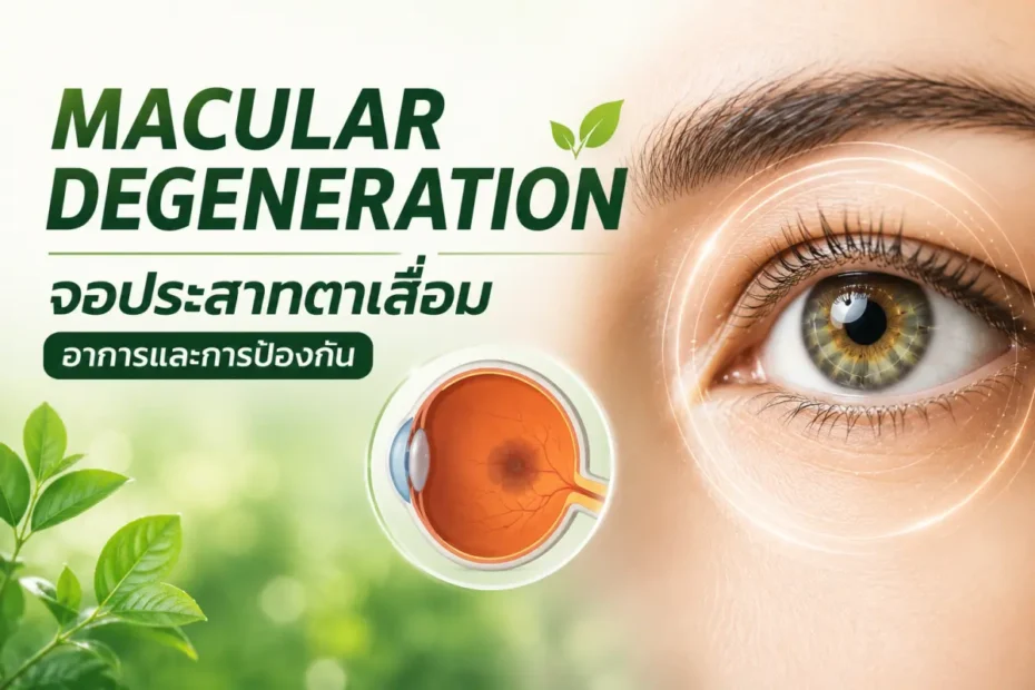 Macular Degeneration หรือจอประสาทตาเสื่อม พร้อมข้อมูลอาการ สัญญาณเตือน และแนวทางการป้องกันเพื่อดูแลสุขภาพดวงตา