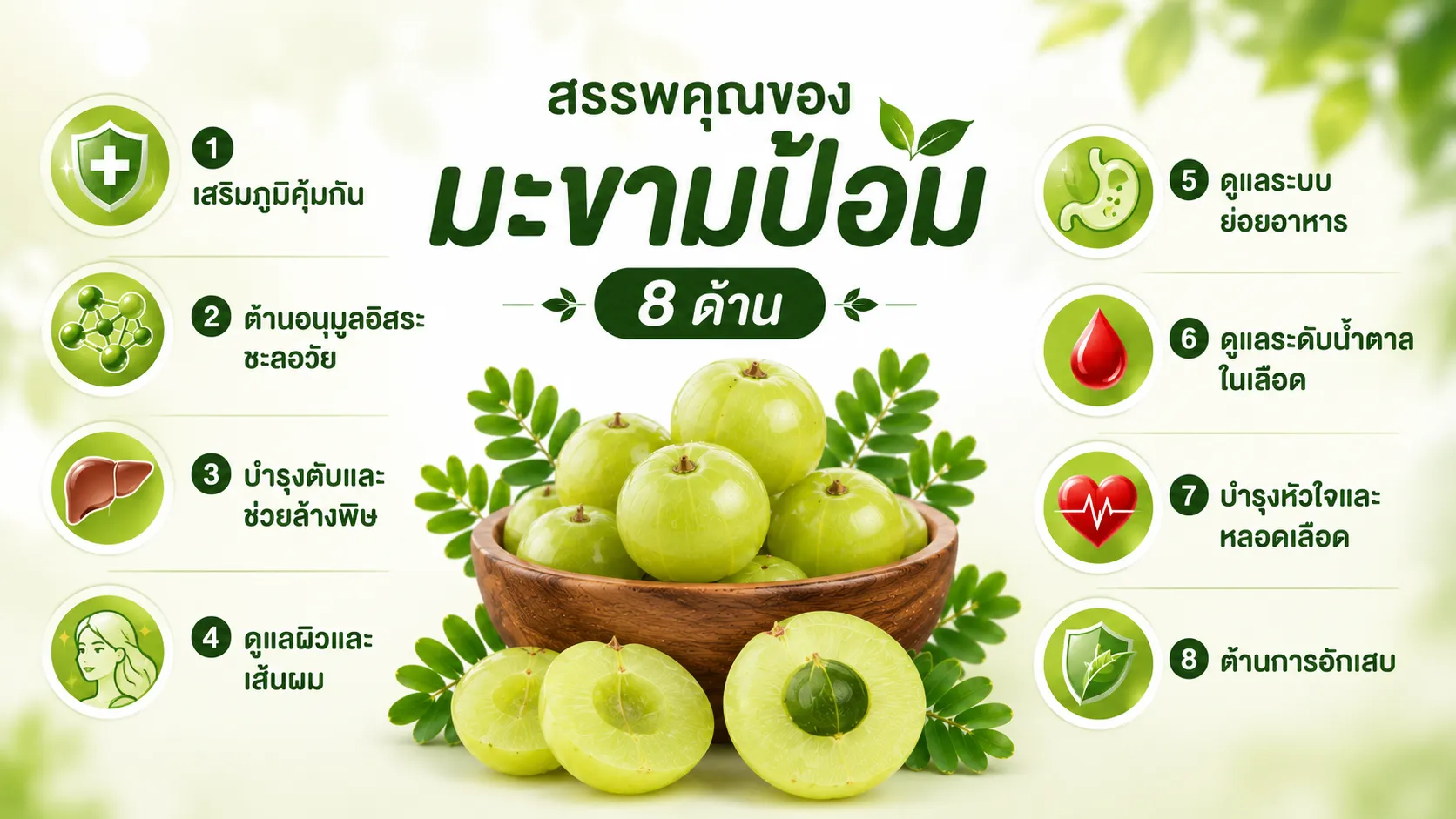 มะขามป้อมพร้อมสรุปสรรพคุณ 8 ด้าน ช่วยเสริมภูมิคุ้มกัน ต้านอนุมูลอิสระ และดูแลสุขภาพโดยรวม