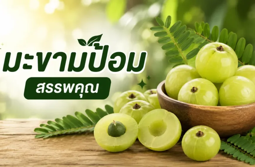 มะขามป้อมสดในชามไม้ แหล่งวิตามินซีสูง พร้อมสรรพคุณช่วยเสริมภูมิคุ้มกันและดูแลสุขภาพ