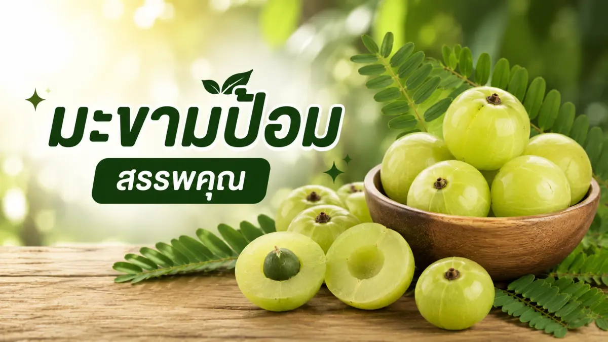 มะขามป้อมสดในชามไม้ แหล่งวิตามินซีสูง พร้อมสรรพคุณช่วยเสริมภูมิคุ้มกันและดูแลสุขภาพ