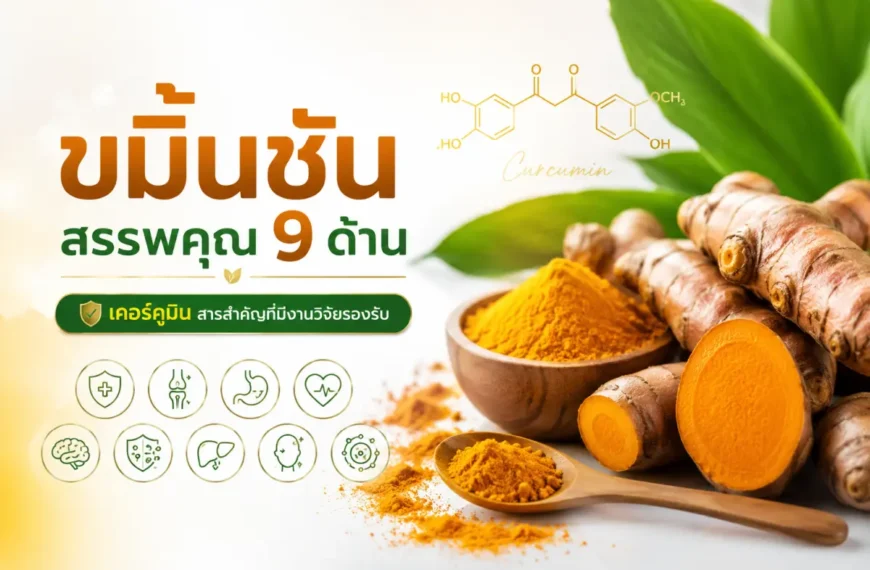 ขมิ้นชัน สรรพคุณ 9 ด้าน พร้อมสารเคอร์คูมินที่ได้รับการศึกษาวิจัยด้านสุขภาพ