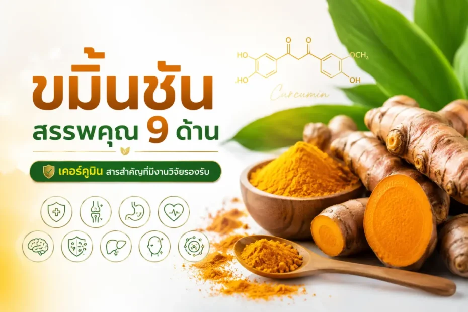 ขมิ้นชัน สรรพคุณ 9 ด้าน พร้อมสารเคอร์คูมินที่ได้รับการศึกษาวิจัยด้านสุขภาพ
